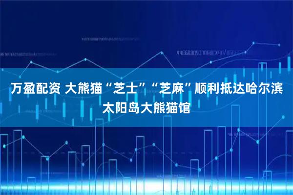 万盈配资 大熊猫“芝士”“芝麻”顺利抵达哈尔滨太阳岛大熊猫馆