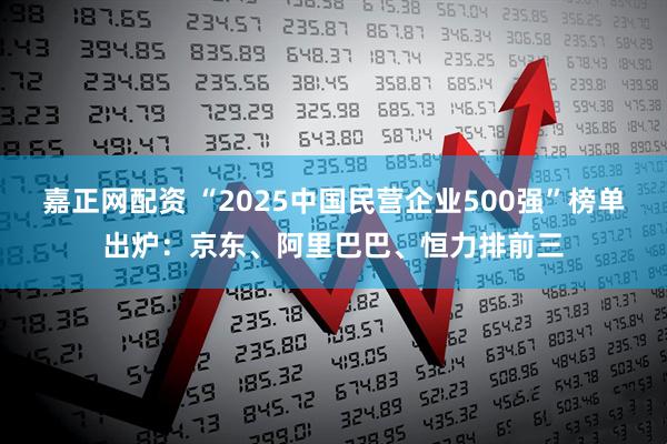 嘉正网配资 “2025中国民营企业500强”榜单出炉：京东、阿里巴巴、恒力排前三