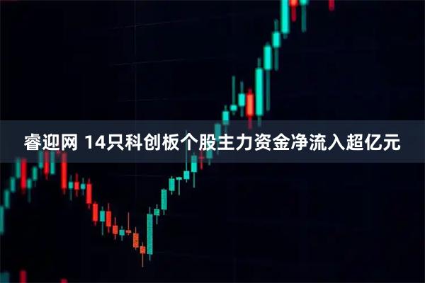 睿迎网 14只科创板个股主力资金净流入超亿元